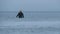 Man looking for treasure in the sea