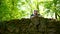 A man looks over a large old stone wall with large and small stones covered with moss in a wonderful park near a lake