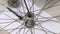 A man lubricates a bicycle front wheel bearing cup. Bike repair. Close-up