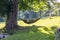 Man lying and resting in a hammock in nature