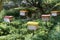 Man-made bee nests made of timber. Designed in box form.