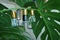 Man made and nature contrast concept,scent bottles hanging with tropical plant