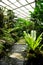 Man made nature look park garden with tropical look