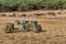 Man made sitting stones and dolmen burial chambers at neolithic park