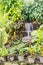 Man-made waterfall in butterfly garden