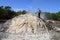 Man making charcoal in the Matanzas province of Cuba