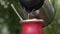 Man making yerba mate tea. Close up pouring hot water into traditional Mate cup.