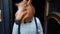 Man in a mask of a horse shakes his head in the door of restaurant at summer