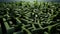 A man in a maze surrounded by trees. Generative AI image.