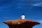 A man meditating on a high rock