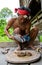 Man Mentawai tribe prepares poison for the arrows for hunting.