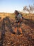 Man metal detecting for gold nuggets