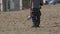 Man with a Metal Detector Walks along a Sandy Beach on the Seashore