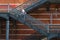 Man on a metallic stair in front of a brick wall