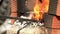The man mixes coals in a fire for forging threw. Coals in the improvised fireplace