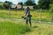 A man mows the grass with a trimmer on a sunny day. Photo of a farmer mowing grass in a village in the backyard. A quiet scene. Fr