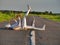 Man musician saxophonist in full body-hugging silver and silver electric suit holding golden alto saxophone, lies on empty road in