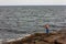 Man Ocean Fishing off the Rocks at Cape Neddick