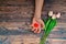 Man offers a heart and tulips on a brown wooden background. The concept of the holiday of Valentine`s Day, and International Wome