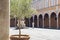 Man in old courtyard with vaults and a statue, in Pisa, Italy.