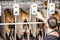 Man operating milking machine at the goat farm