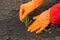 Man in orange rubber gloves takes care of young green sprout. New life concept