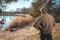 Man overlooking a lake in the sunshine