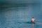 man on paddleboard in the middle of the lake