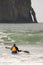 Man Paddles into Ocean Surf Riding Sea Kayak Boat Sport