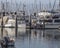 Man paddling near luxury boats at Santa Barbara marina