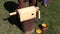 Man painting wooden nesting-box yellow