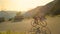 Man pedalling his road bicycle up a steep asphalt road in Slovenian mountains.