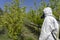 Man in Personal Protective Equipment Spraying Orchard With Backpack Atomizer Sprayer