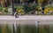 Man photographs toy sailboat on pool in Luxembourg Garden, Paris, France.