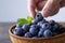 Man pick fresh ripe blueberries.