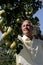 Man picking pears in orchard