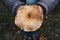 Man picking a red pine mushroom