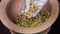 A man picking sprouted gram in an earthen pot.Sprouted Chana Moong Dal Almonds