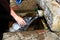 Man picks water in plastic bottle from natural source that pours from iron pipe