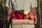 A man in a plaid shirt holds a wooden box with vegetables: red pepper, potatoes, cucumber, apple. Harvesting, vegetable garden