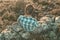 A man in a plaid shirt on a mountain sitting