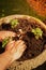 Man planting a begonia and impatiens bedding plant flower in a stone pot planter.