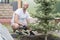 A man is planting a Christmas tree. Man Planting Small Christmas Tree In Silty Soil Ground With Bare Hands And Science Lab Beaker.