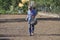 Man planting grass in Turin