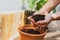 Man planting little plant. Balcony gardening. Eco friendly and natural concept. Man holding a plant and soil