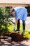 Man planting shrub home garden