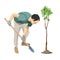 Man plants a tree. Gardener seedling plant.