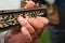 Man playing bouzouki