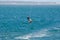 The man playing extreme action by jumping above the sea water with kitesurfing board in green color at Brighton le sands beach.