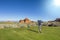 Man playing golf on a beautiful scenic desert golf course